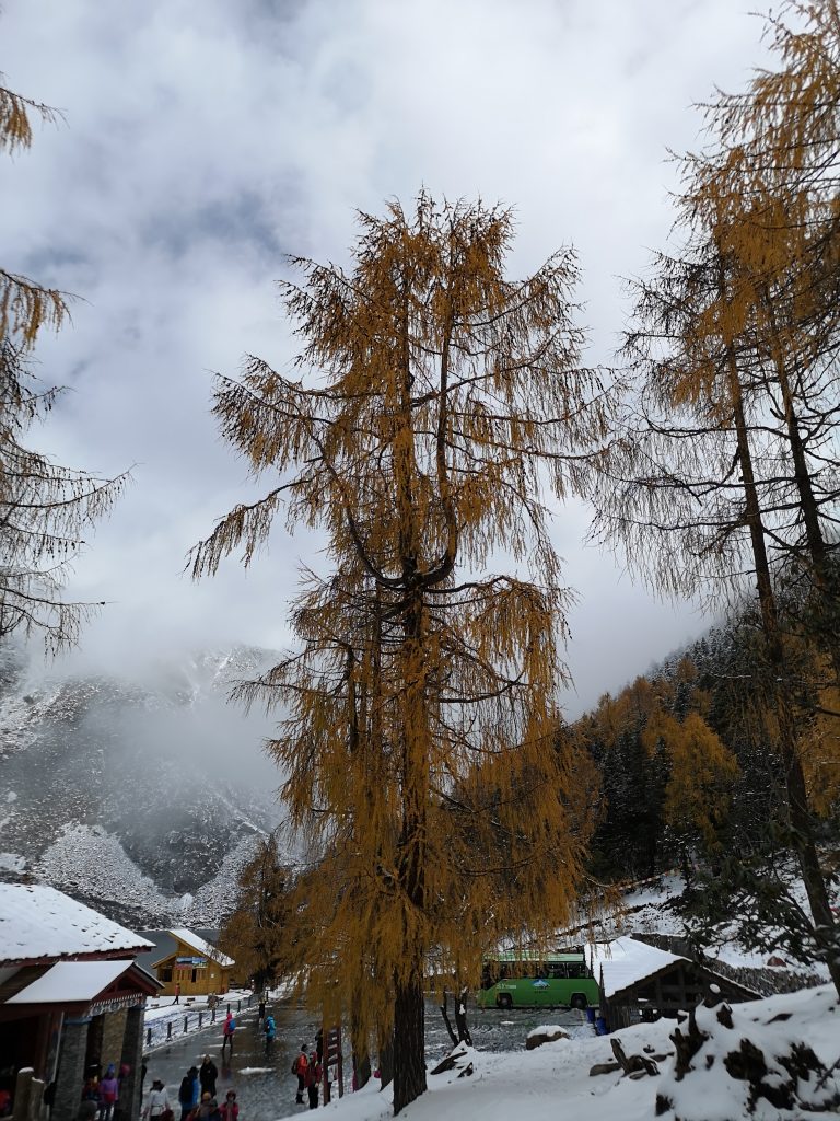 康定情歌景区—木格措