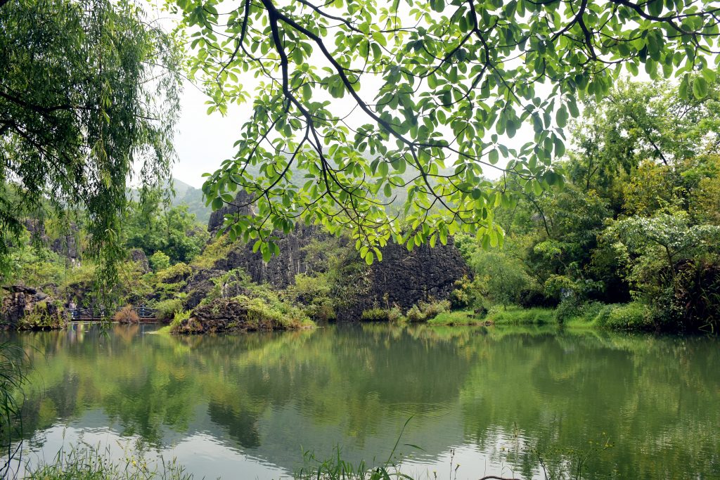 黄棵树瀑布