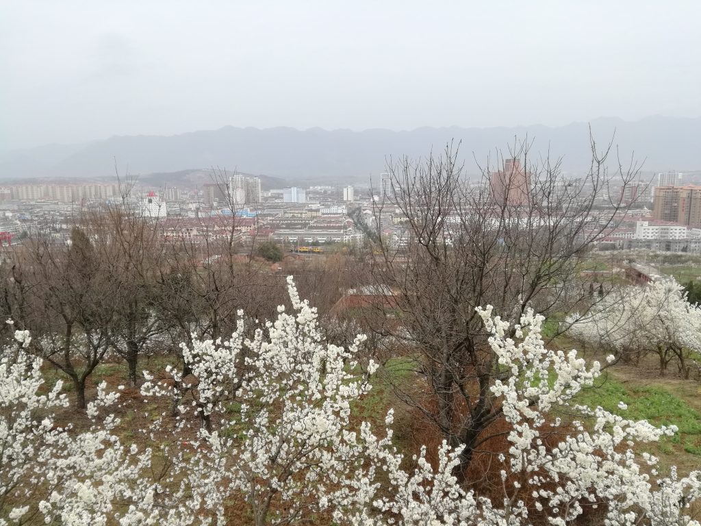 汉中西乡