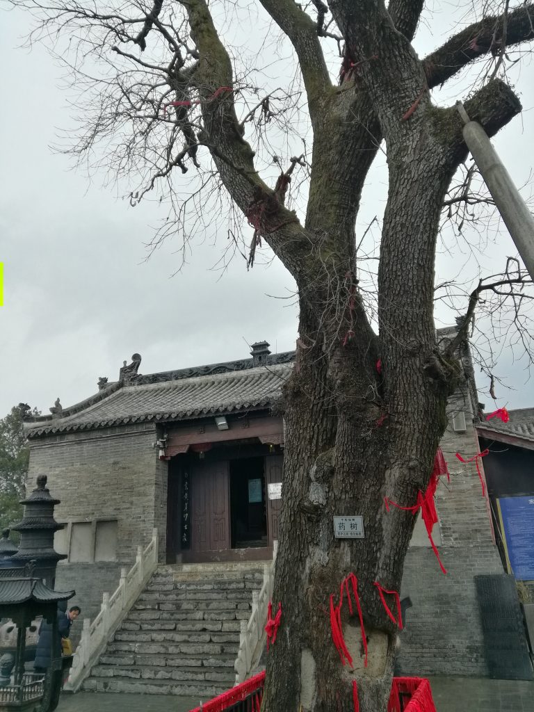 汉中西乡