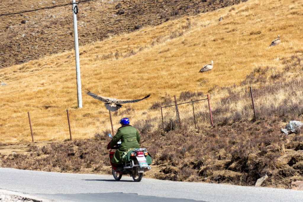 又一条进藏线路，杂多至巴青